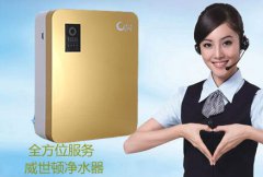 净水器代理加盟商怎样解决产品库存积压问题