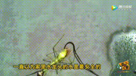 微信图片_20180811133959.gif