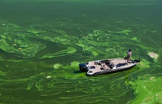 微信图片_20180921105513.jpg 微信图片_20180921105513.jpg