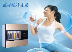 家用纯水机威世顿后置进口活性炭保障饮水健康