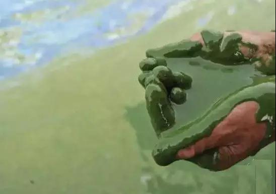 微信图片_20180809134045.jpg 微信图片_20180809134045.jpg