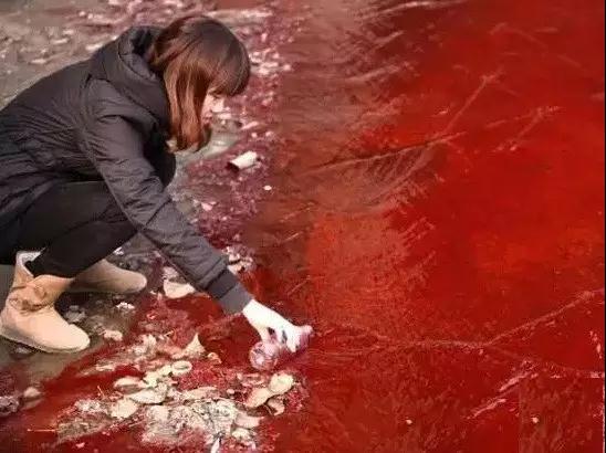 微信图片_20180809134049.jpg 微信图片_20180809134049.jpg