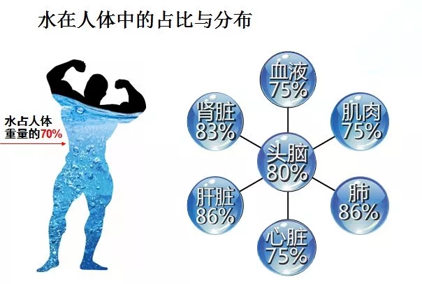 640.webp.jpg 640.webp.jpg